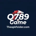 Q789 Game